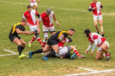 Odessa, Ukrayna -6 Kasım 2015: Ukrayna Kupası rugby Credo - Odessa ve Olimpiyat - Kharkov. Erkekler maç sırasında gergin anı scrum