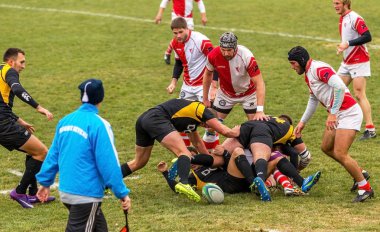 Odessa, Ukrayna -6 Kasım 2015: Ukrayna Kupası rugby Credo - Odessa ve Olimpiyat - Kharkov. Erkekler maç sırasında gergin anı scrum