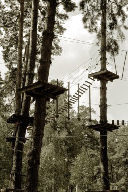 Çocuk Macera Parkı köprüler, halatlar ve merdiven uzun boylu çam ağaçları arasında ormanda yeni başlayanlar için tasarlanmış. Yüksek kablolu park tırmanma macera. Ormandaki yüksek halatlar tabii. Zipline etkinliği