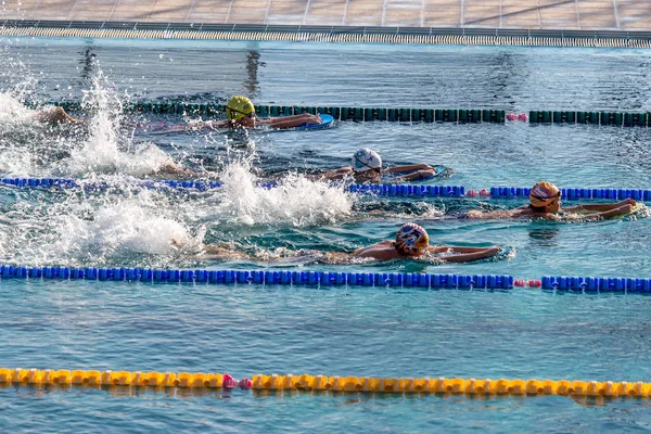 Varna Bulgaria Noviembre 2015 Piscina Deportiva Durante Entrenamiento Niños Nadadores —  Fotos de Stock