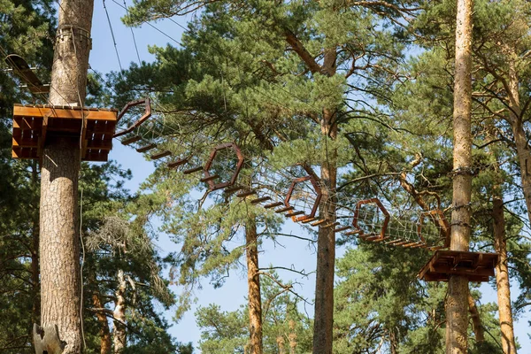 Crianças Adventure Park Pontes Cordas Escadas Projetadas Para Iniciantes Madeiras — Fotografia de Stock