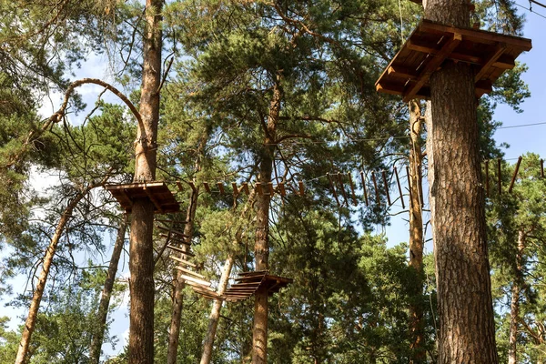 Kinder Erlebnispark Brücken Seile Und Treppen Für Anfänger Wald Zwischen — Stockfoto