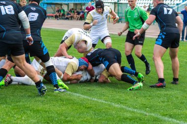 Krasnodar, Rusya Federasyonu - 11,2018 olabilir: Rus Rugby Şampiyonası Erkekler arasında: Kuban (Krasnodar) - beyaz ve Yenisey-Stm - (Krasnoyarsk). Yorucu spor oyunu dramatik oyun anları