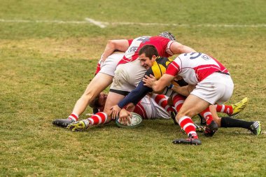 Odessa, Ukrayna -6 Kasım 2015: Ukrayna Kupası rugby Credo - Odessa ve Olimpiyat - Kharkov. Erkekler maç sırasında gergin anı scrum