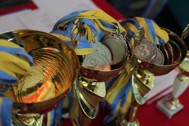 yakın çekim için okul rugby ligi final maçında madalya ödüllendirme vurdu