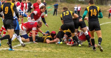 Odessa, Ukrayna -6 Kasım 2015: Ukrayna Kupası rugby Credo - Odessa ve Olimpiyat - Kharkov. Erkekler maç sırasında gergin anı scrum
