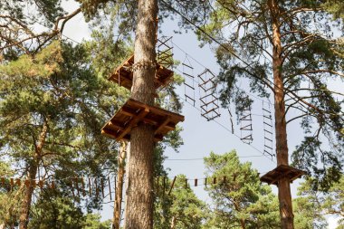 Çocuk Macera Parkı köprüler, halatlar ve merdiven uzun boylu çam ağaçları arasında ormanda yeni başlayanlar için tasarlanmış. Yüksek kablolu park tırmanma macera. Ormandaki yüksek halatlar tabii. Zipline etkinliği