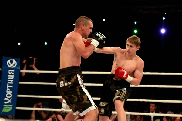 Odessa Ukraine Mai 2014 Champion Professionnel Boxe Alexander Spyrko Ukraine — Photo