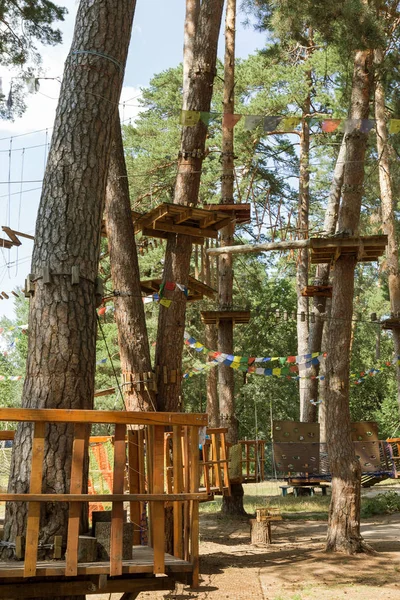 Kinder Erlebnispark Brücken Seile Und Treppen Für Anfänger Wald Zwischen — Stockfoto