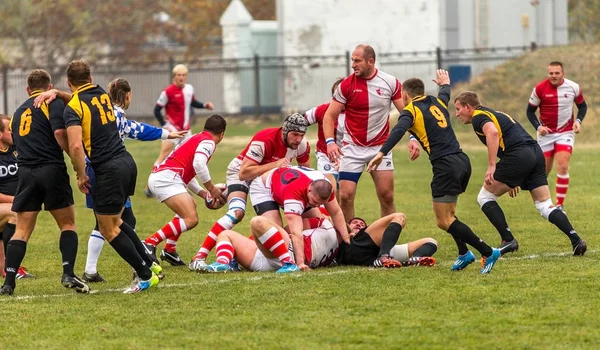 Odessa Ucrânia Novembro 2015 Campeonato Ucraniano Rugby Credo Odessa Olympic — Fotografia de Stock