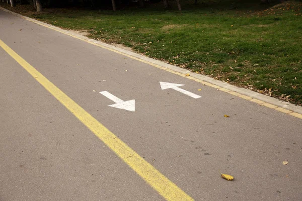 Bike Lane Marcado Con Flechas Direccionales Carril Bici Parque Ciudad — Foto de Stock