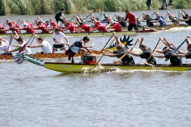 Odessa, Ukrayna - 16 Mayıs 2010: Şampiyonası Gaziler arasında kürek Ukrayna. Dragon Tekne Nehri üzerinde. İnsanlar kürek tekne yaz aylarında yarışta