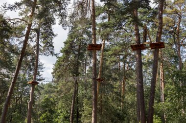 Çocuk Macera Parkı köprüler, halatlar ve merdiven uzun boylu çam ağaçları arasında ormanda yeni başlayanlar için tasarlanmış. Yüksek kablolu park tırmanma macera. Ormandaki yüksek halatlar tabii. Zipline etkinliği