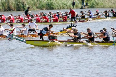 Odessa, Ukrayna - 16 Mayıs 2010: Şampiyonası Gaziler arasında kürek Ukrayna. Dragon Tekne Nehri üzerinde. İnsanlar kürek tekne yaz aylarında yarışta