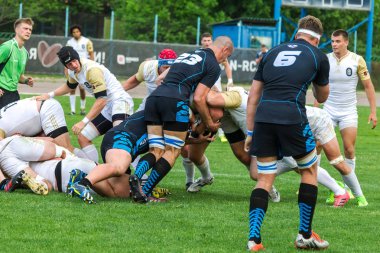 Krasnodar, Rusya Federasyonu - 11,2018 olabilir: Rus Rugby Şampiyonası Erkekler arasında: Kuban (Krasnodar) - beyaz ve Yenisey-Stm - (Krasnoyarsk). Yorucu spor oyunu dramatik oyun anları