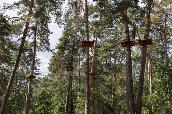 어린이 밧줄을 소나무 숲에서 초보자를 유선된 공원에 숲에서 로프의 과정입니다 — 스톡 사진