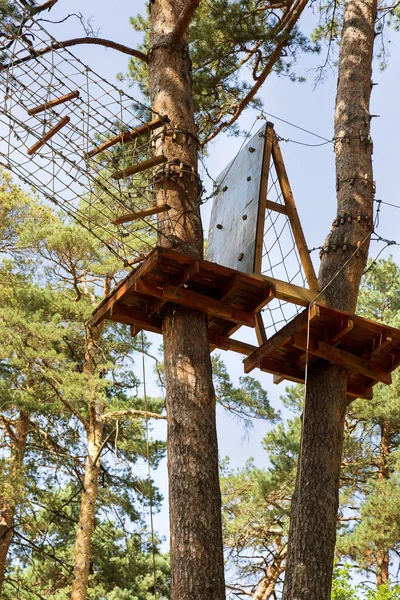 Children Adventure Park Bridges Ropes Stairs Designed Beginners Woods Tall — Stock Photo, Image