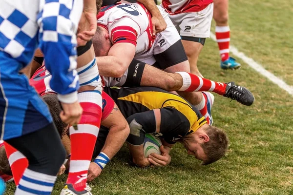 Odessa Ucrânia Novembro 2015 Campeonato Ucraniano Rugby Credo Odessa Olympic — Fotografia de Stock