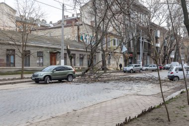 Odessa, Ukrayna - 31 Mart 2018: ağır yağmur ve fırtına winds bir kaza neden - yaşlı bir ağaç arabaya bir fırtına sırasında düştü. Kasırga sonuçları. Ağaç makinelerde düştü ve onlara zarar