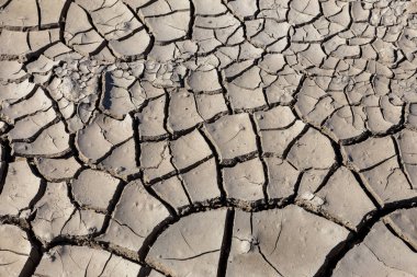 Kuraklık. Kurutulmuş Göl Nehir deniz dibinde. Ölü yengeçler kuraklık kuru. Kuraklığın kırık toprak kuru. Kuraklık, iklim değişikliği, nem olmadan ölüm kavramı. Ekoloji. Felaket. Kırık mistisizm
