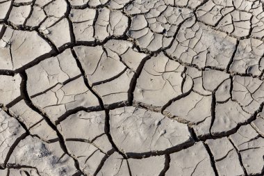 Kuraklık. Kurutulmuş Göl Nehir deniz dibinde. Ölü yengeçler kuraklık kuru. Kuraklığın kırık toprak kuru. Kuraklık, iklim değişikliği, nem olmadan ölüm kavramı. Ekoloji. Felaket. Kırık mistisizm