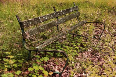 Eski bir bir terk edilmiş şehir Park ahşap Bank mahvetti. Bir boş eski ahşap Bank Bahçe veya park, açık havada gölgeli bölgesinde. Terk edilme ve ıssızlık Şehir Parkı içinde antika arka plan