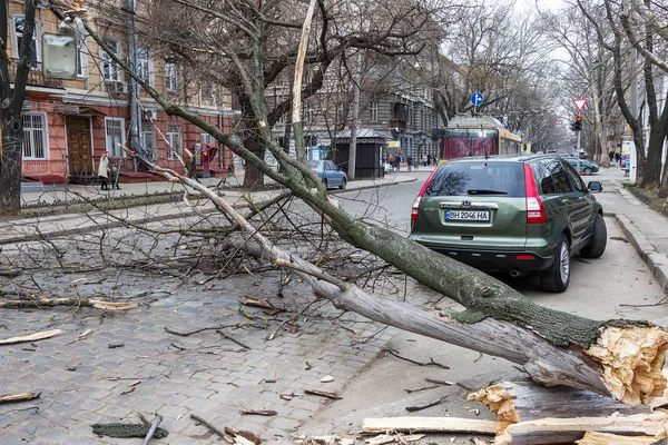 Odessa Ukraina Mars 2018 Tunga Regn Och Storm Vindar Orsakade — Stockfoto
