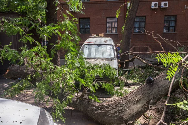 Odessa Ukraina Juli 2018 Tunga Regn Och Storm Vindar Orsakade — Stockfoto