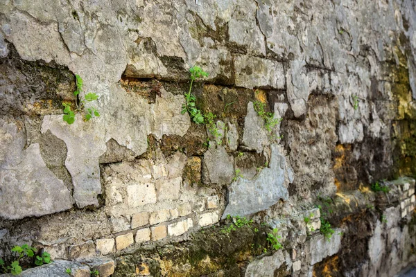Svuota Vecchia Trama Muro Mattoni Superficie Della Parete Povera Dipinta — Foto Stock