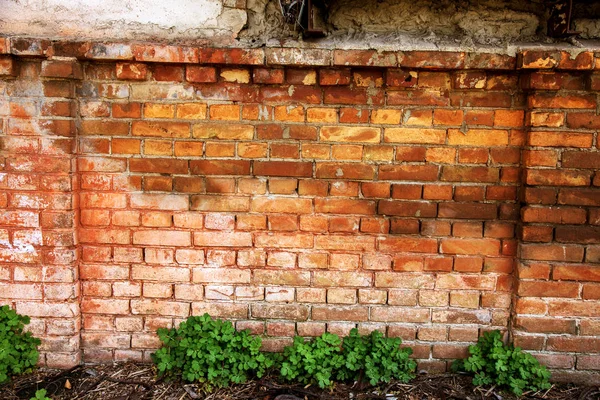 Lege Oude Bakstenen Muur Textuur Geschilderde Arme Muur Oppervlak Grungy — Stockfoto