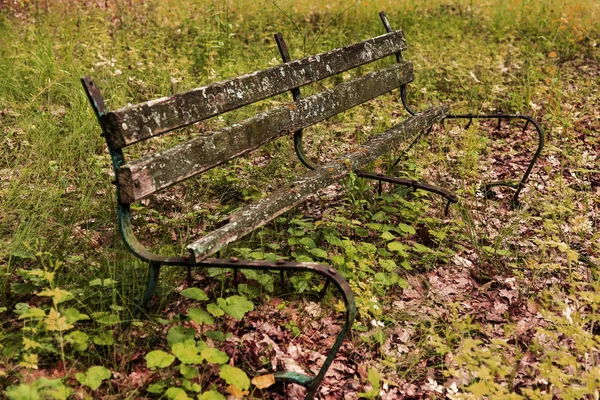 Eski bir bir terk edilmiş şehir Park ahşap Bank mahvetti. Bir boş eski ahşap Bank Bahçe veya park, açık havada gölgeli bölgesinde. Terk edilme ve ıssızlık Şehir Parkı içinde antika arka plan