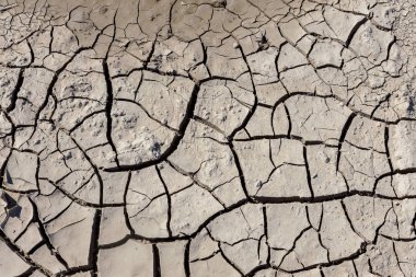 Kuraklık. Kurutulmuş Göl Nehir deniz dibinde. Ölü yengeçler kuraklık kuru. Kuraklığın kırık toprak kuru. Kuraklık, iklim değişikliği, nem olmadan ölüm kavramı. Ekoloji. Felaket. Kırık mistisizm