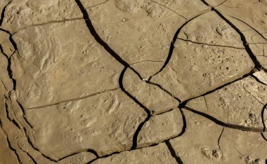 Kuraklık. Kurutulmuş Göl Nehir deniz dibinde. Ölü yengeçler kuraklık kuru. Kuraklığın kırık toprak kuru. Kuraklık, iklim değişikliği, nem olmadan ölüm kavramı. Ekoloji. Felaket. Kırık mistisizm