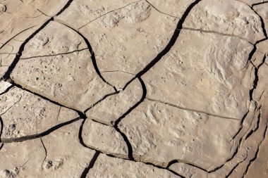 Kuraklık. Kurutulmuş Göl Nehir deniz dibinde. Ölü yengeçler kuraklık kuru. Kuraklığın kırık toprak kuru. Kuraklık, iklim değişikliği, nem olmadan ölüm kavramı. Ekoloji. Felaket. Kırık mistisizm