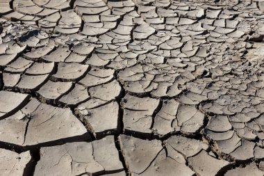 Kuraklık. Kurutulmuş Göl Nehir deniz dibinde. Ölü yengeçler kuraklık kuru. Kuraklığın kırık toprak kuru. Kuraklık, iklim değişikliği, nem olmadan ölüm kavramı. Ekoloji. Felaket. Kırık mistisizm