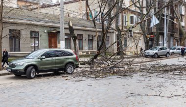 Odessa, Ukrayna - 31 Mart 2018: ağır yağmur ve fırtına winds bir kaza neden - yaşlı bir ağaç arabaya bir fırtına sırasında düştü. Kasırga sonuçları. Ağaç makinelerde düştü ve onlara zarar