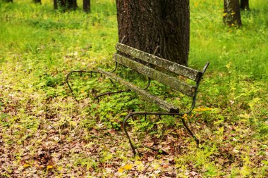 Eski bir bir terk edilmiş şehir Park ahşap Bank mahvetti. Bir boş eski ahşap Bank Bahçe veya park, açık havada gölgeli bölgesinde. Terk edilme ve ıssızlık Şehir Parkı içinde antika arka plan