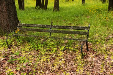 Eski bir bir terk edilmiş şehir Park ahşap Bank mahvetti. Bir boş eski ahşap Bank Bahçe veya park, açık havada gölgeli bölgesinde. Terk edilme ve ıssızlık Şehir Parkı içinde antika arka plan