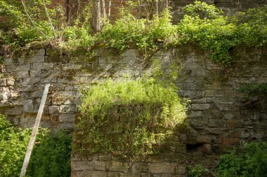 Boş eski tuğla duvar doku. Zavallı duvar yüzeyi boyalı. Grungy geniş Brickwall. Kırmızı grunge arka plan. Hasarlı sıva ile bina cephe ovuşturdu. Soyut web afiş. Kopya alanı