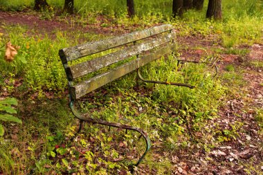 Eski bir bir terk edilmiş şehir Park ahşap Bank mahvetti. Bir boş eski ahşap Bank Bahçe veya park, açık havada gölgeli bölgesinde. Terk edilme ve ıssızlık Şehir Parkı içinde antika arka plan
