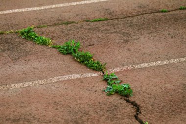  Arka plan yüzeyi ile yaratıcı çatlaklar. Yaratıcı tasarım düzen için arka plan olarak Web çatlaklar. Çimento tabakasının taş yüzeyi derin çatlaklar oluşan bir ağ ile. Endişeli görünüm