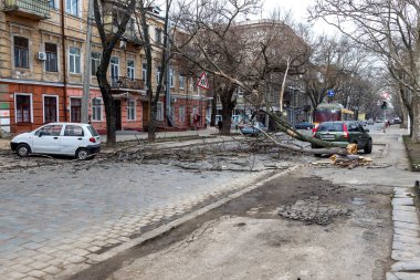 Odessa, Ukrayna - 31 Mart 2018: ağır yağmur ve fırtına winds bir kaza neden - yaşlı bir ağaç arabaya bir fırtına sırasında düştü. Kasırga sonuçları. Ağaç makinelerde düştü ve onlara zarar
