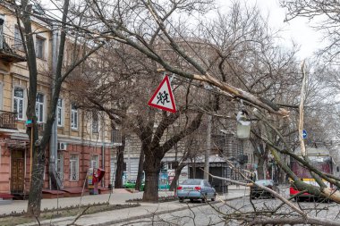 Odessa, Ukrayna - 31 Mart 2018: ağır yağmur ve fırtına winds bir kaza neden - yaşlı bir ağaç arabaya bir fırtına sırasında düştü. Kasırga sonuçları. Ağaç makinelerde düştü ve onlara zarar