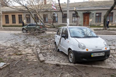 Odessa, Ukrayna - 31 Mart 2018: ağır yağmur ve fırtına winds bir kaza neden - yaşlı bir ağaç arabaya bir fırtına sırasında düştü. Kasırga sonuçları. Ağaç makinelerde düştü ve onlara zarar