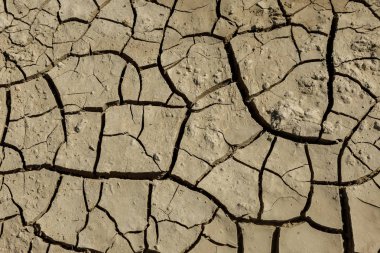 Kuraklık. Kurutulmuş Göl Nehir deniz dibinde. Ölü yengeçler kuraklık kuru. Kuraklığın kırık toprak kuru. Kuraklık, iklim değişikliği, nem olmadan ölüm kavramı. Ekoloji. Felaket. Kırık mistisizm