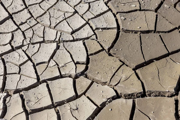 Kuraklık. Kurutulmuş Göl Nehir deniz dibinde. Ölü yengeçler kuraklık kuru. Kuraklığın kırık toprak kuru. Kuraklık, iklim değişikliği, nem olmadan ölüm kavramı. Ekoloji. Felaket. Kırık mistisizm
