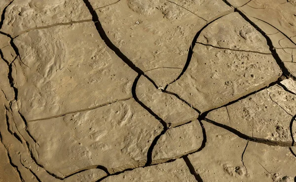 Droogte Gedroogde Bodem Van Lake Rivier Zee Dode Krabben Drogen — Stockfoto