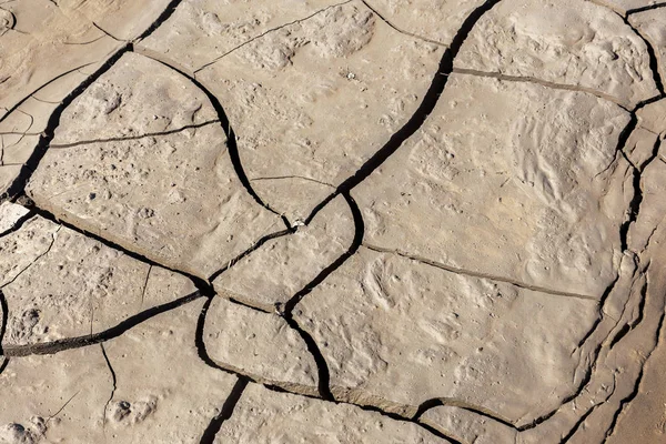 Kuraklık. Kurutulmuş Göl Nehir deniz dibinde. Ölü yengeçler kuraklık kuru. Kuraklığın kırık toprak kuru. Kuraklık, iklim değişikliği, nem olmadan ölüm kavramı. Ekoloji. Felaket. Kırık mistisizm