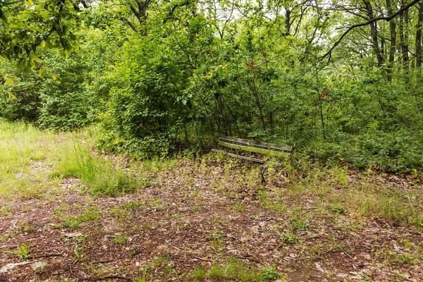 Vieux Banc Bois Ruine Dans Parc Urbain Abandonné Vieux Banc — Photo