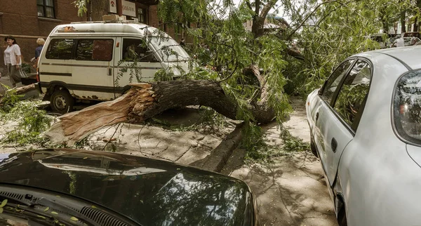 Odessa Ukraine Juli 2018 Heftiger Regen Und Sturmböen Verursachten Einen — Stockfoto